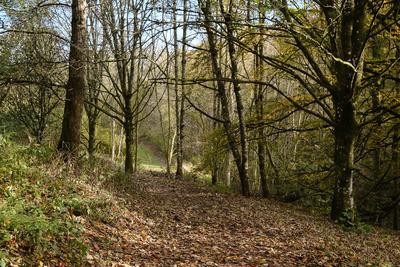 Walk photo