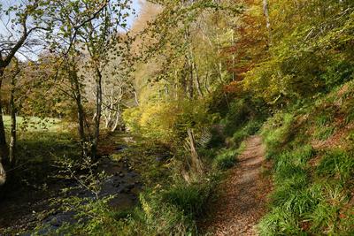 Walk photo