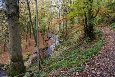 Walk photo