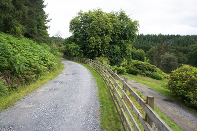 Walk photo