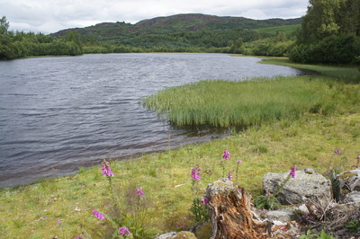 Atholl Woods circuit, Dunkeld