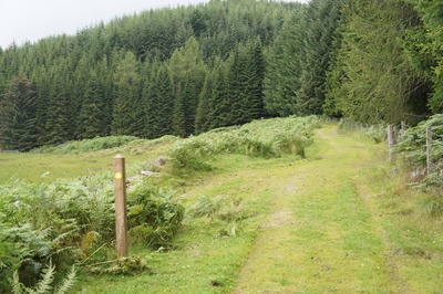 Walk photo
