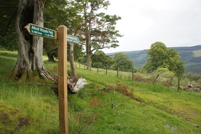 Walk photo