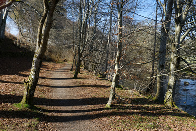 Walk photo