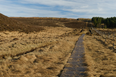Walk photo