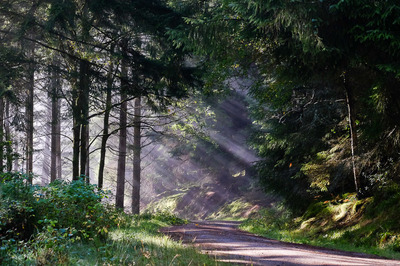 Walk photo