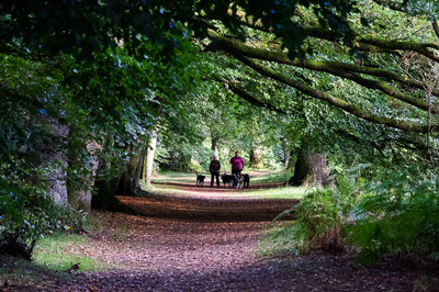 Walk photo