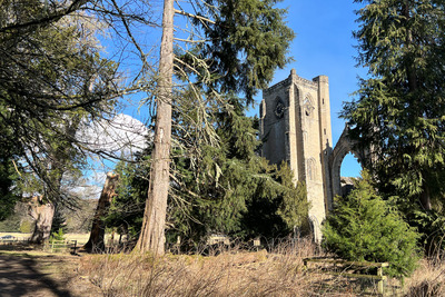 Walk photo