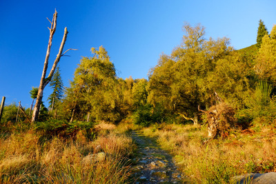 Walk photo