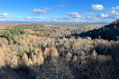 Birnam Hill, Birnam