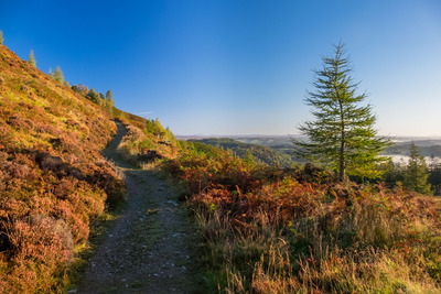 Walk photo