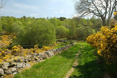 Loch of Lowes circuit, Dunkeld