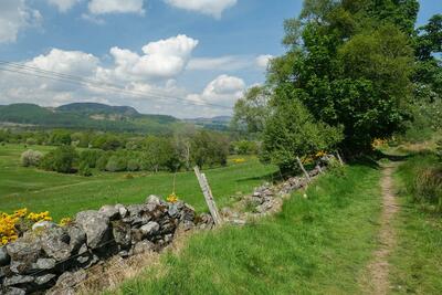Walk photo