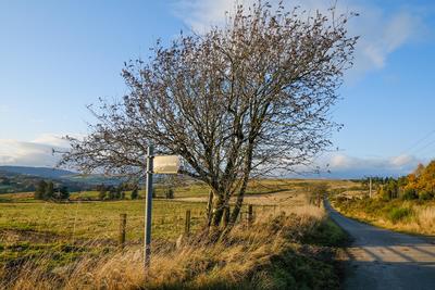 Walk photo
