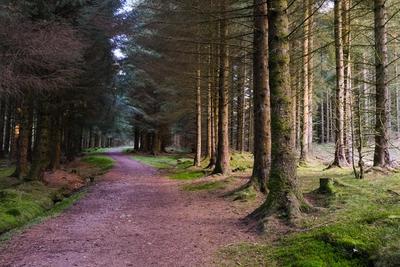 Walk photo