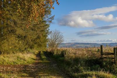 Walk photo