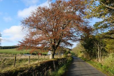 Walk photo