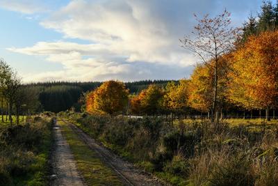 Walk photo