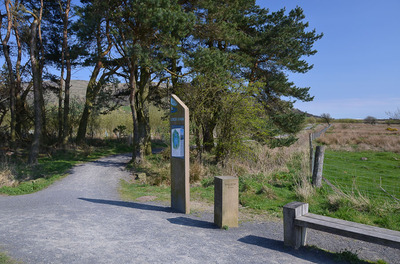 Walk photo