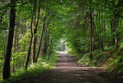 Walk photo