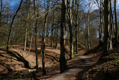 Walk photo