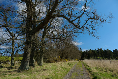 Walk photo
