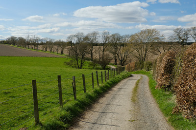 Walk photo