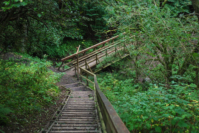 Walk photo