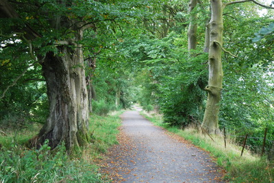 Walk photo