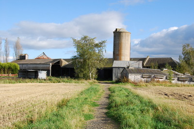 Walk photo