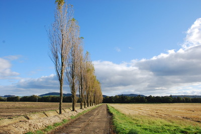 Walk photo