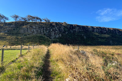 Walk photo