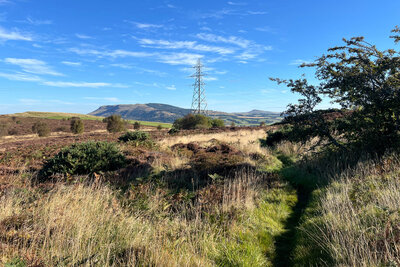 Walk photo