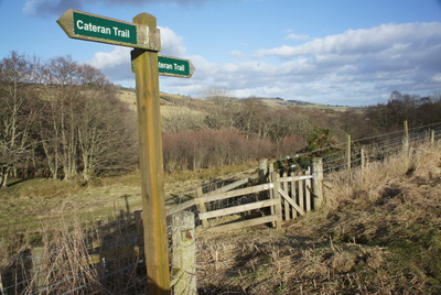 Walk photo
