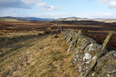 Walk photo