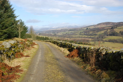 Walk photo