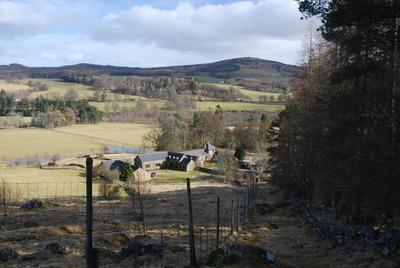 Walk photo
