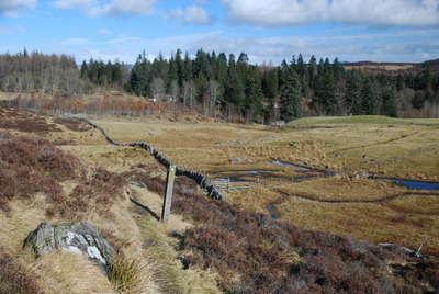 Walk photo