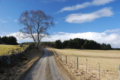 Walk photo