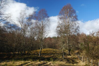 Walk photo