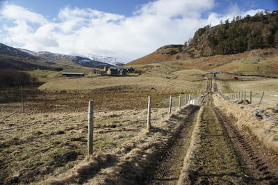 Walk photo