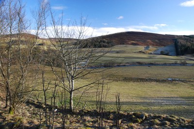 Walk photo