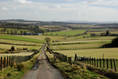 Walk photo