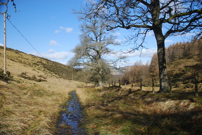 Walk photo