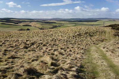 Walk photo