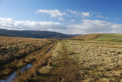 Walk photo