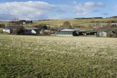 Walk photo