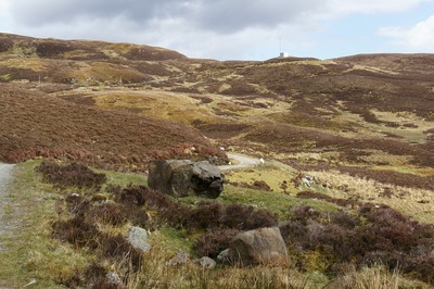 Walk photo