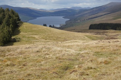 Walk photo
