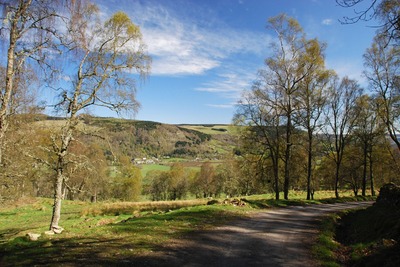 Walk photo
